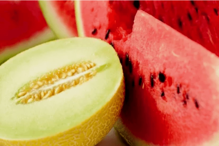 Sandia Melon Diät